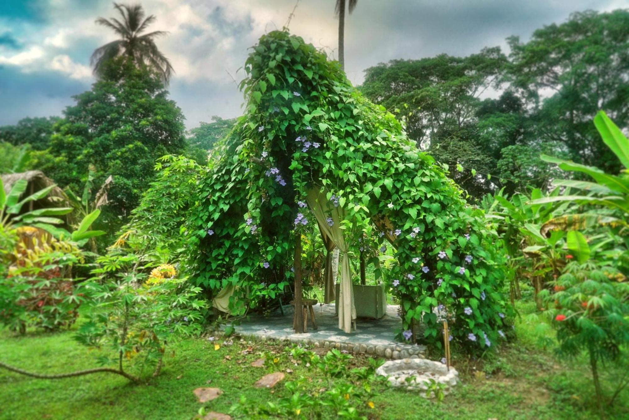 Salvia Madre Hotel Guachaca Bagian luar foto