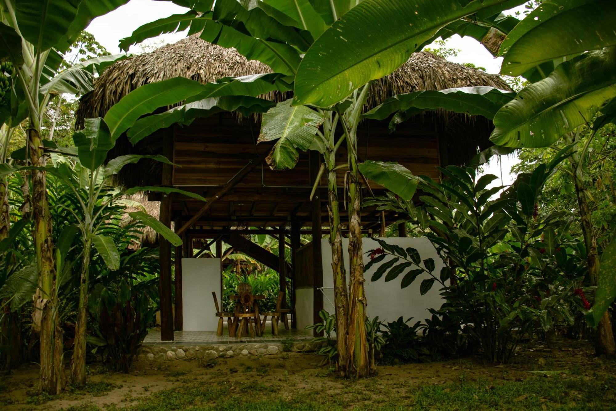 Salvia Madre Hotel Guachaca Bagian luar foto