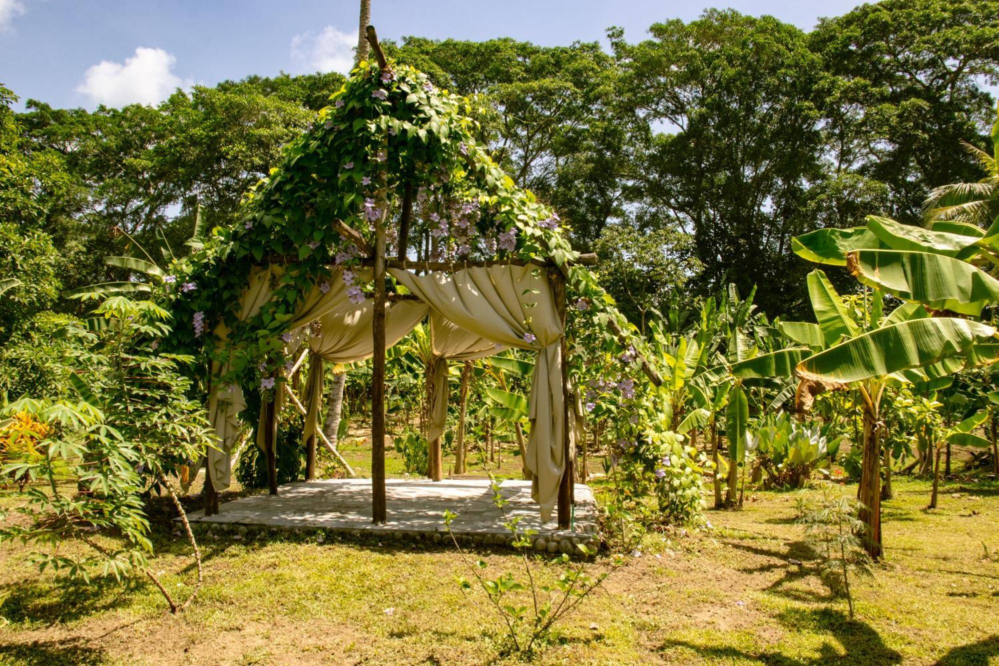 Salvia Madre Hotel Guachaca Bagian luar foto